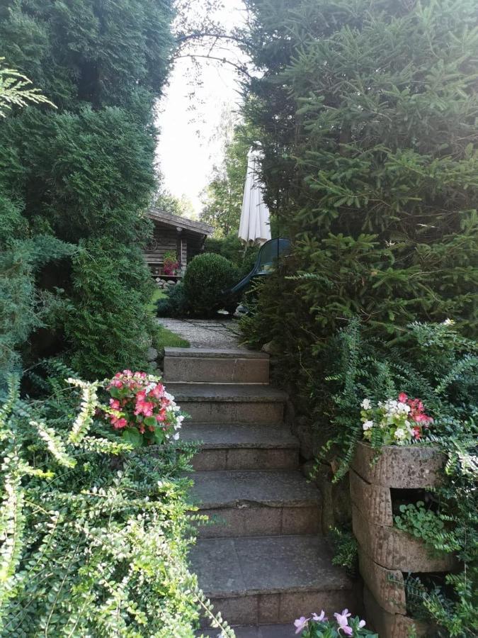 Haus Am Bach Apartment Kirchberg in Tirol Ngoại thất bức ảnh