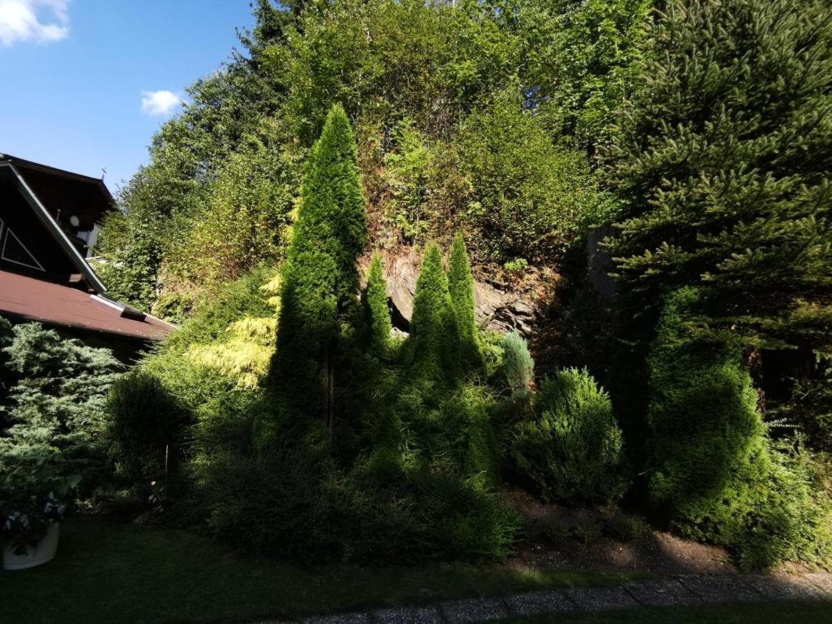 Haus Am Bach Apartment Kirchberg in Tirol Ngoại thất bức ảnh